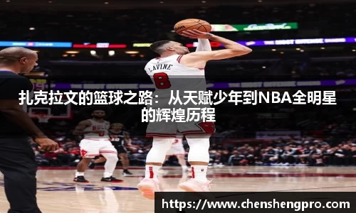 BB贝博登录入口