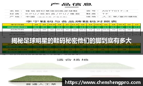 揭秘足球明星的鞋码秘密他们的脚到底有多大