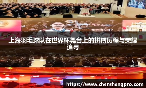 BB贝博登录入口