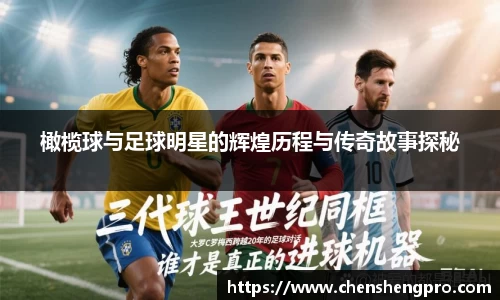 BB贝博登录入口