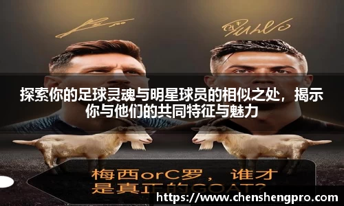 BB贝博登录入口