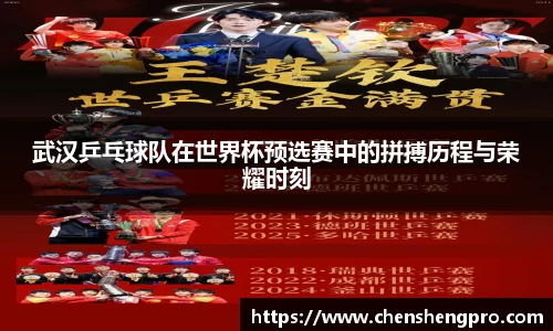 BB贝博登录入口